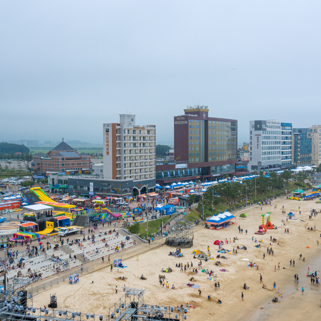 Festival Boryeong Mud