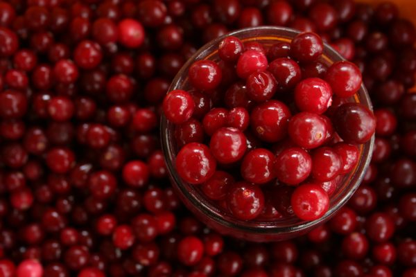Mitos Buah Cranberry