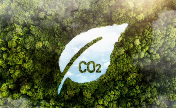 Cara Mengurangi Emisi Karbon