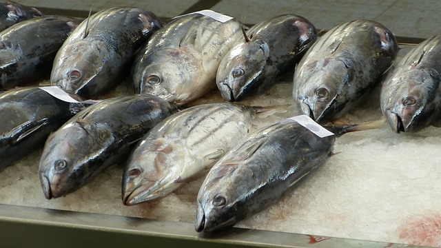 Kandungan Ikan Tuna